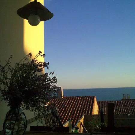 Corbezzolo *