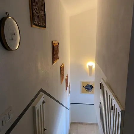 Corbezzolo